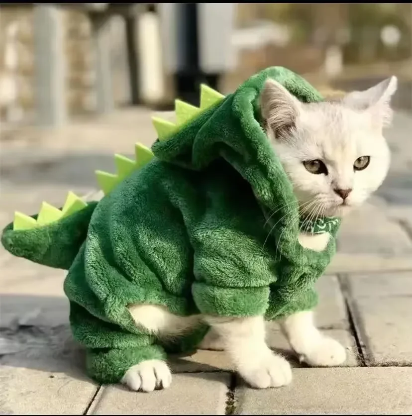 Roupinha de dinossauro para gatos