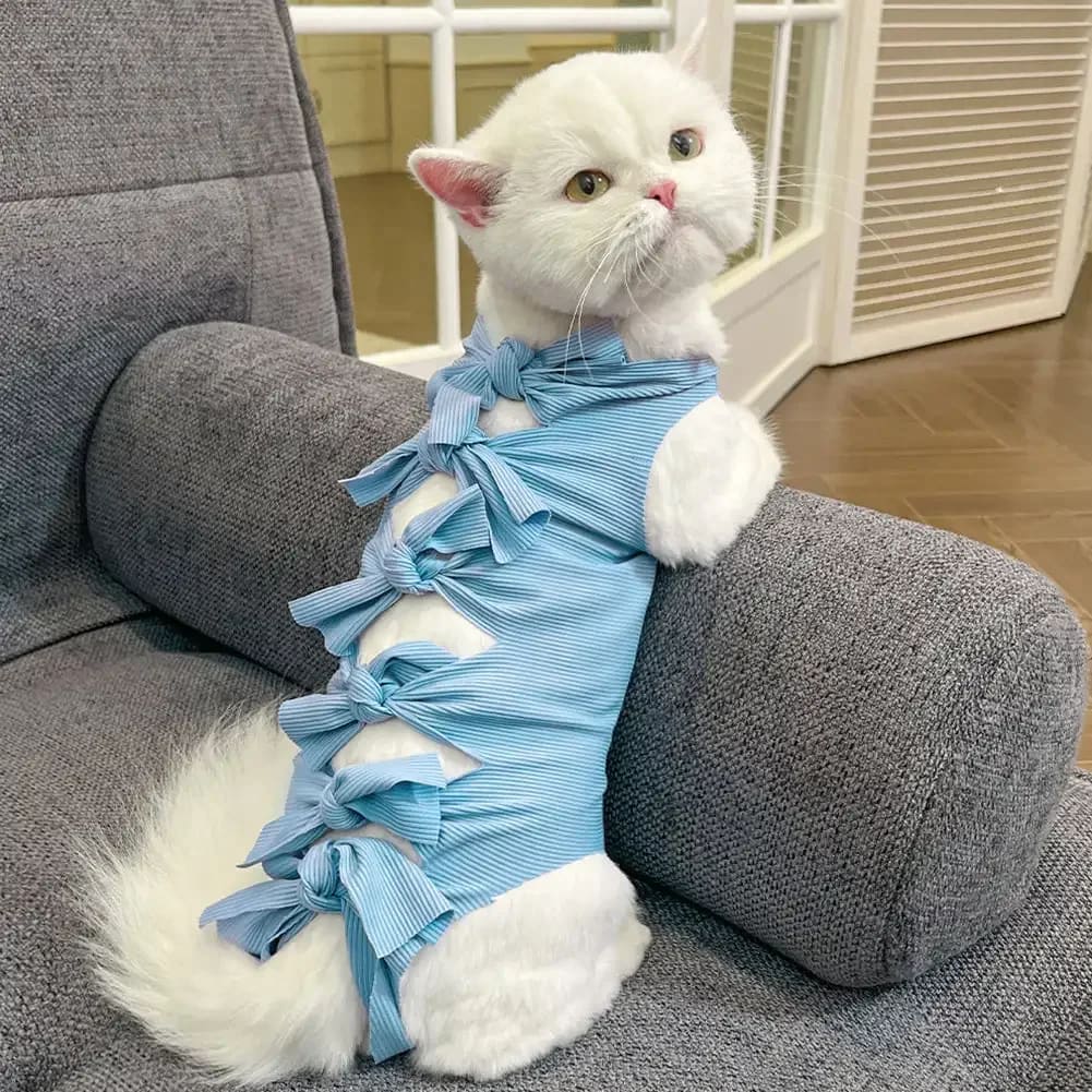 Roupa cirúrgica para gatos