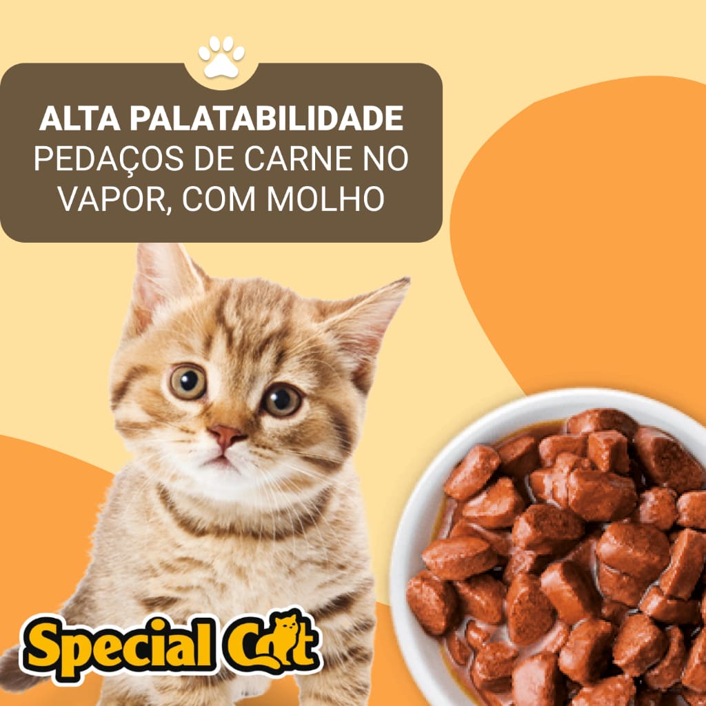 Kit 12 Sachês Special Cat Filhote Carne Ultra Life 85g