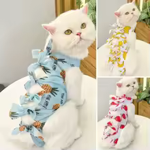 Roupa cirúrgica para gatos