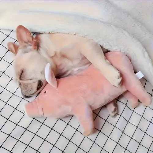 Brinquedo de Pelúcia em Formato de Porquinho para Cães